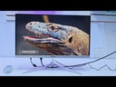 youtube - [Video]